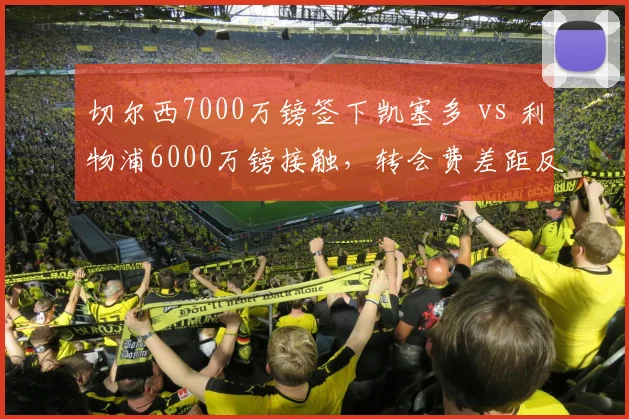 切尔西7000万镑签下凯塞多 vs 利物浦6000万镑接触，转会费差距反映中场需求