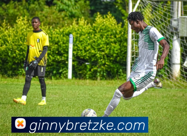 奖项图1